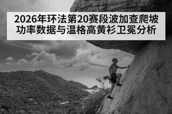 2026年环法第20赛段波加查爬坡功率数据与温格高黄衫卫冕分析